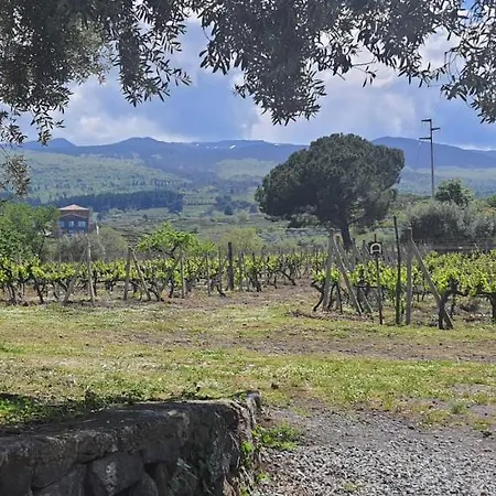 샬레 La Finestra Sul Vigneto *