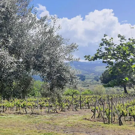 La Finestra Sul Vigneto