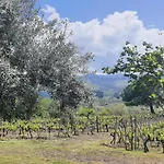 La Finestra Sul Vigneto