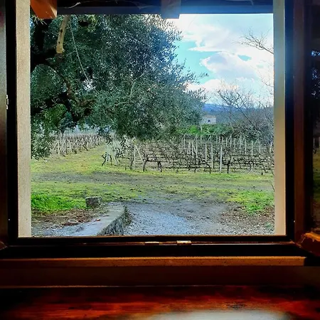 Alpehytte La Finestra Sul Vigneto *