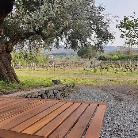 La Finestra Sul Vigneto