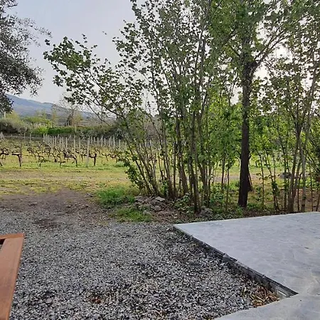 La Finestra Sul Vigneto Chalet